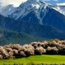 手机用户2537_schq