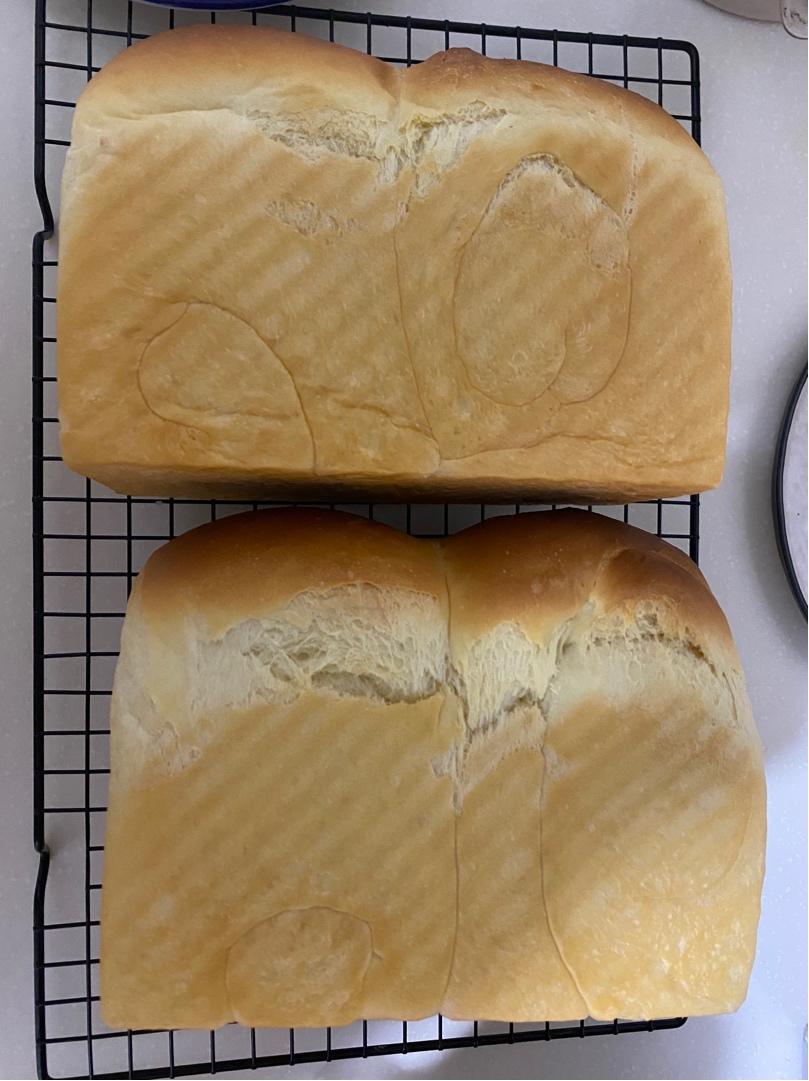 杂食记