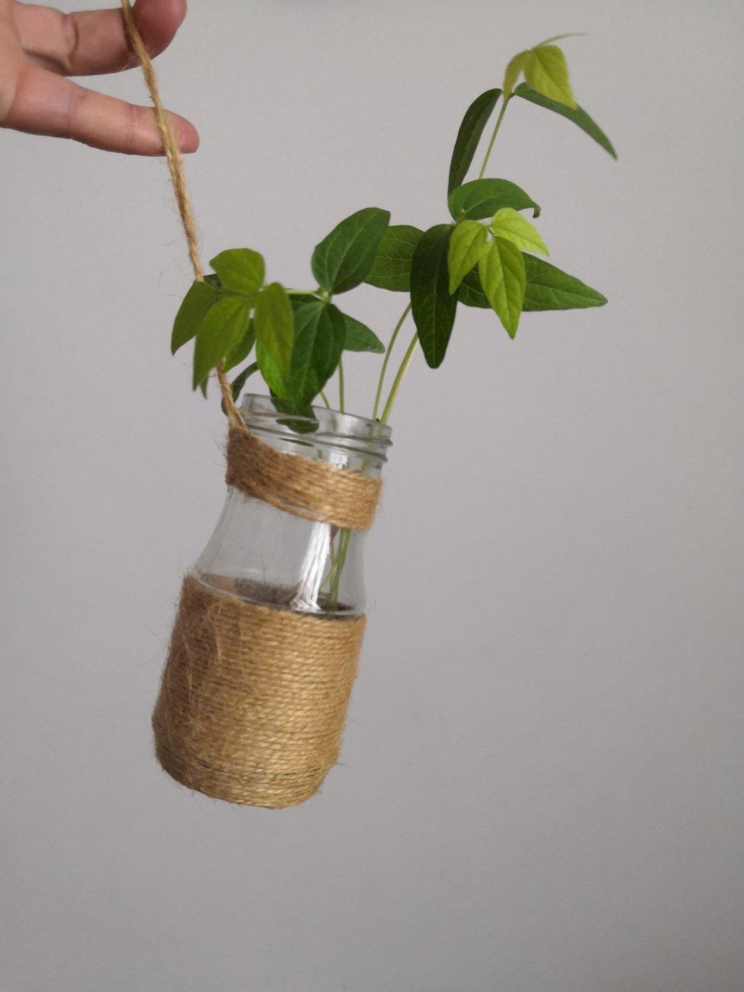 沥水篮发豆芽