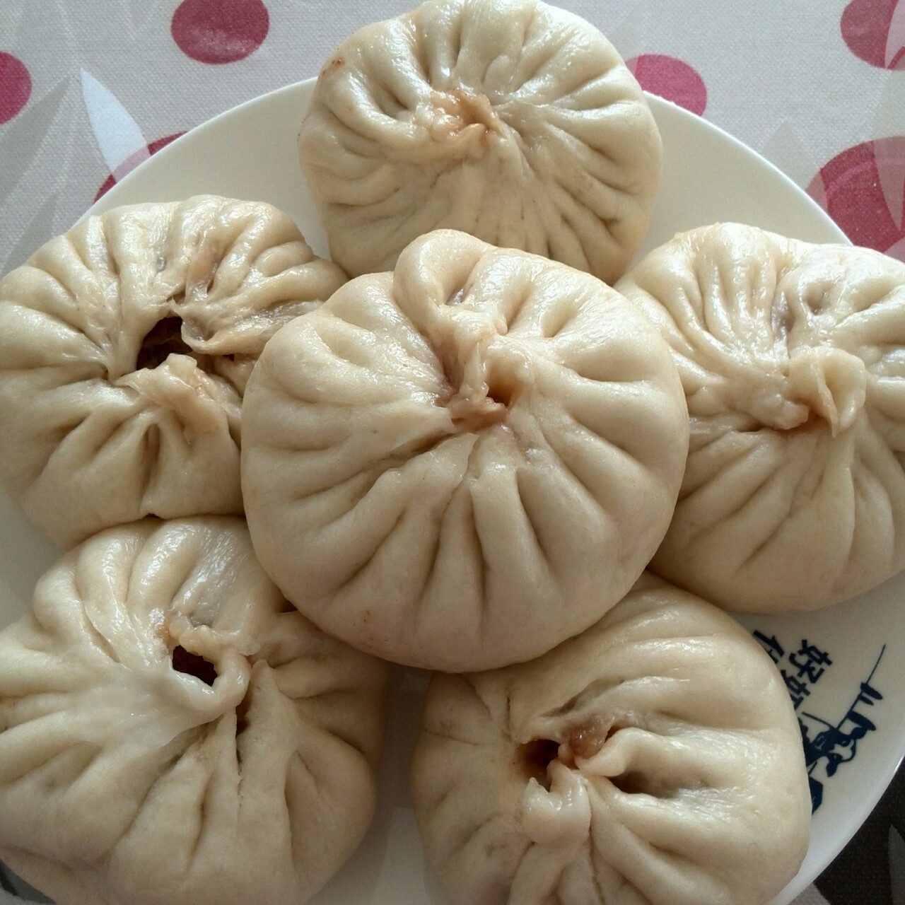 堂妈教你山菜鲜肉大包子