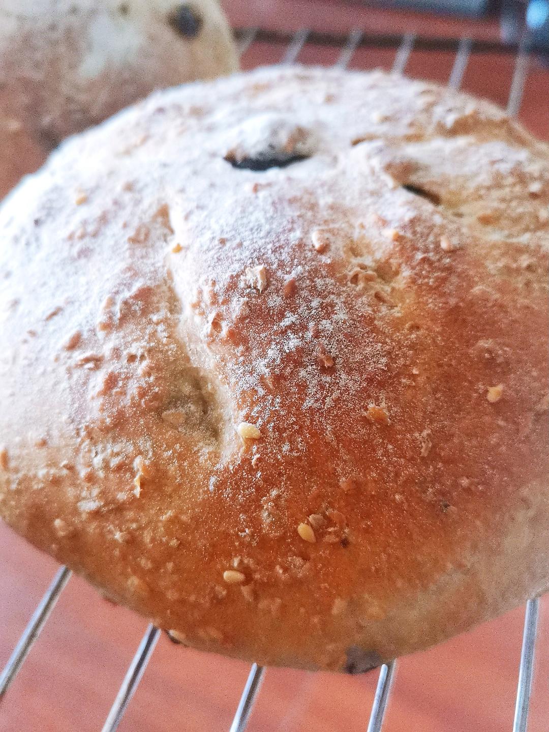 全麦蔓越莓核桃软欧包