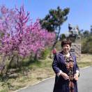 手机用户2526_g35l