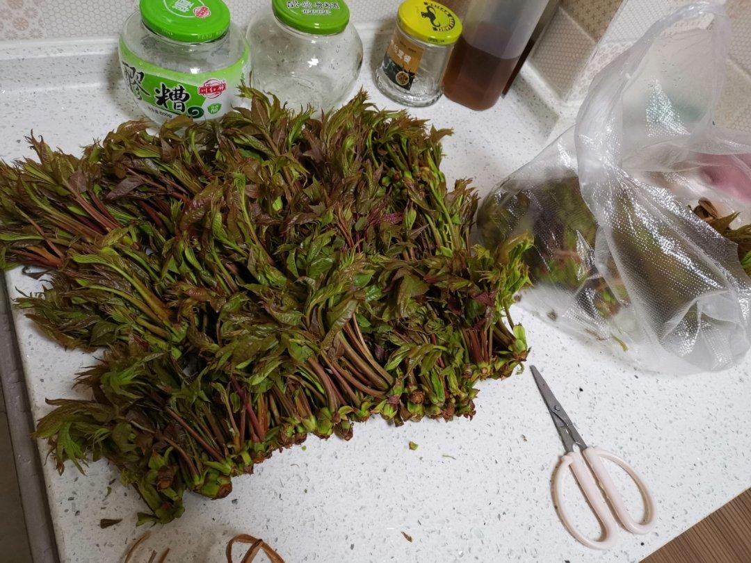 香椿香菇拌饭酱