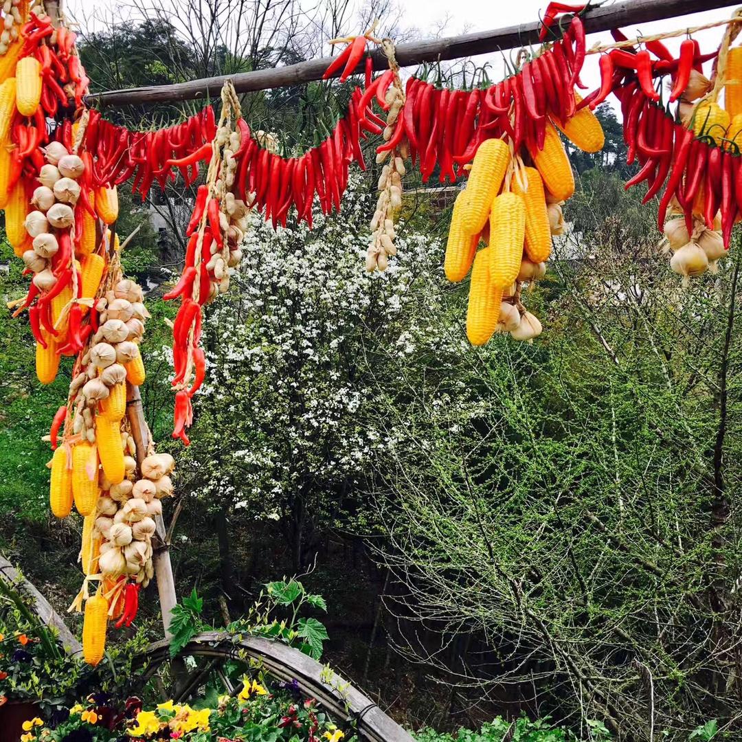 生活点滴