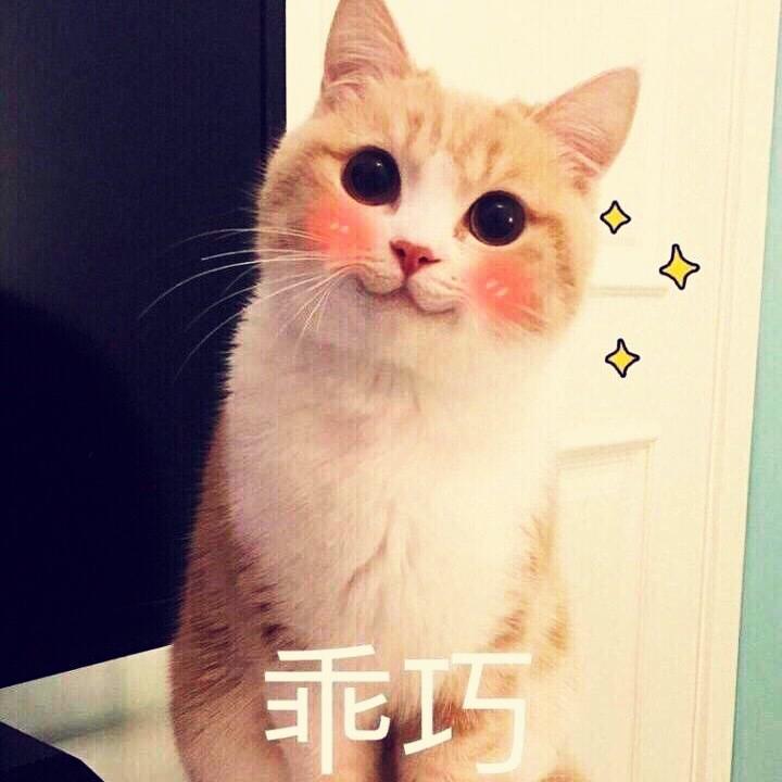 小猫咪22的厨房