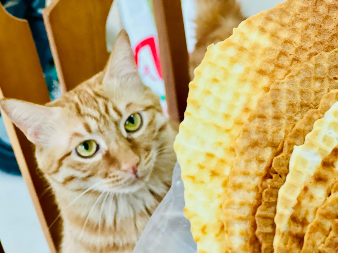 鸡蛋卷 脆皮蛋筒 冰淇淋绝配脆脆脆 无黄油不打发材料简单