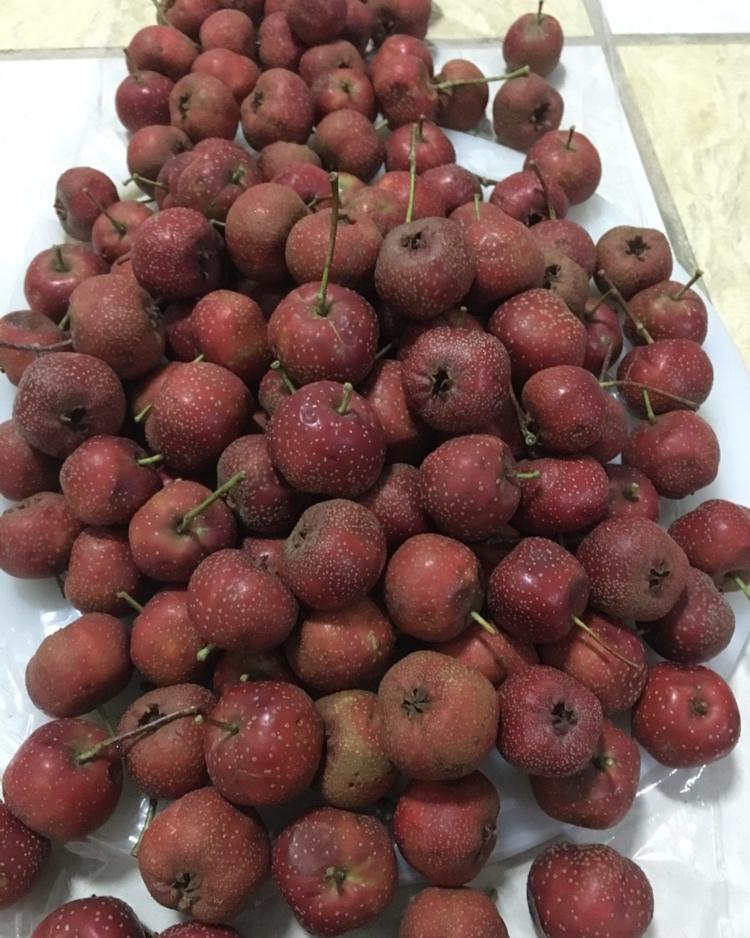 山楂膏/六物山楂膏