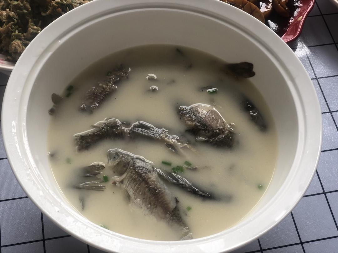 奶白鲫鱼汤