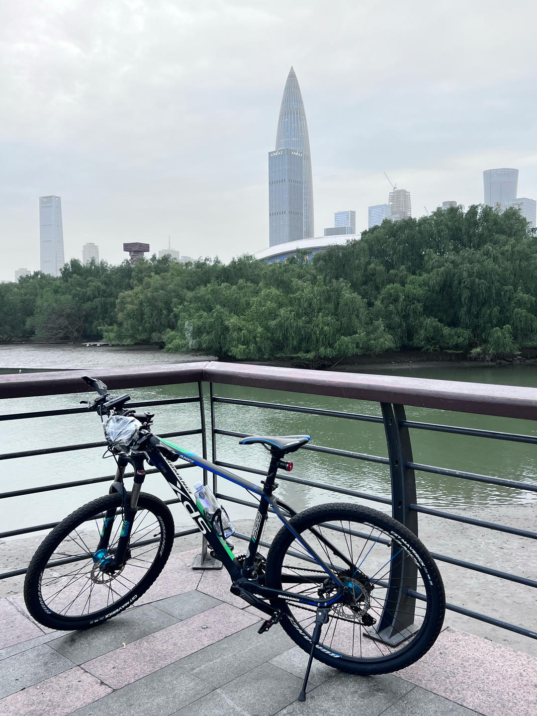 懂你的懂你