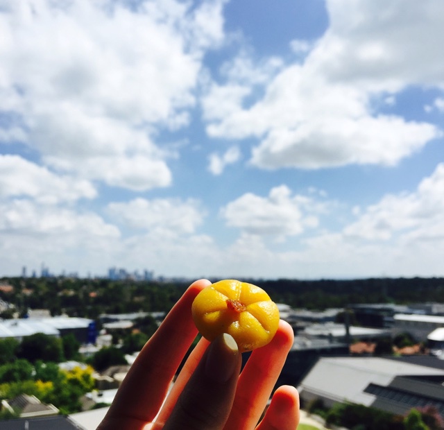 南瓜饼（蒸）