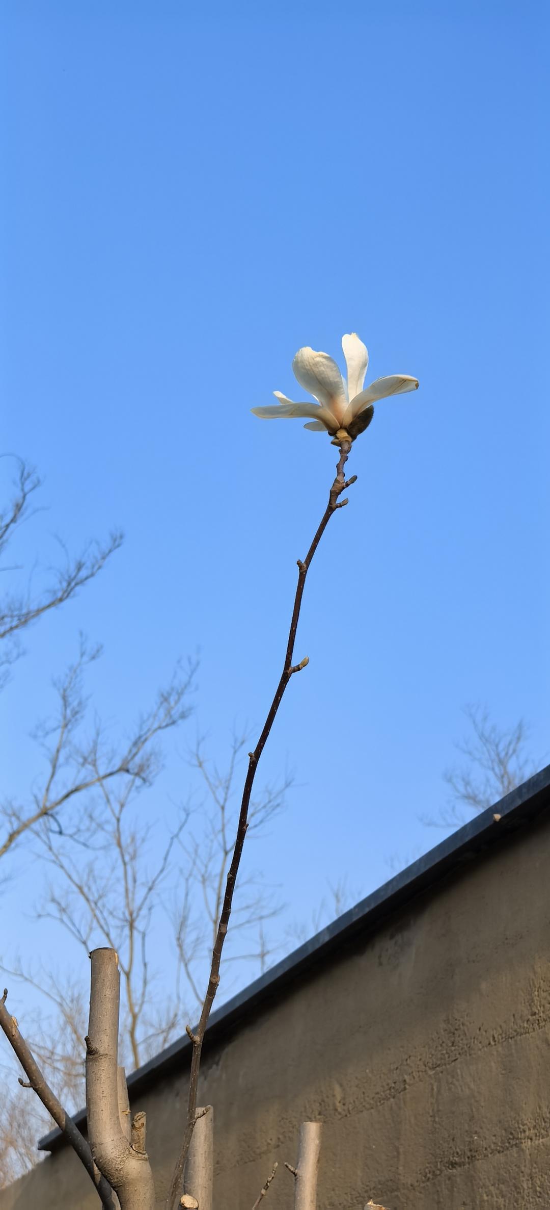 晚餐•2026年3月20日