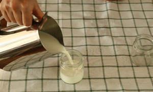 耶耶贝贝的希腊酸奶的做法 步骤4