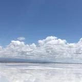 我是你的小白鼠