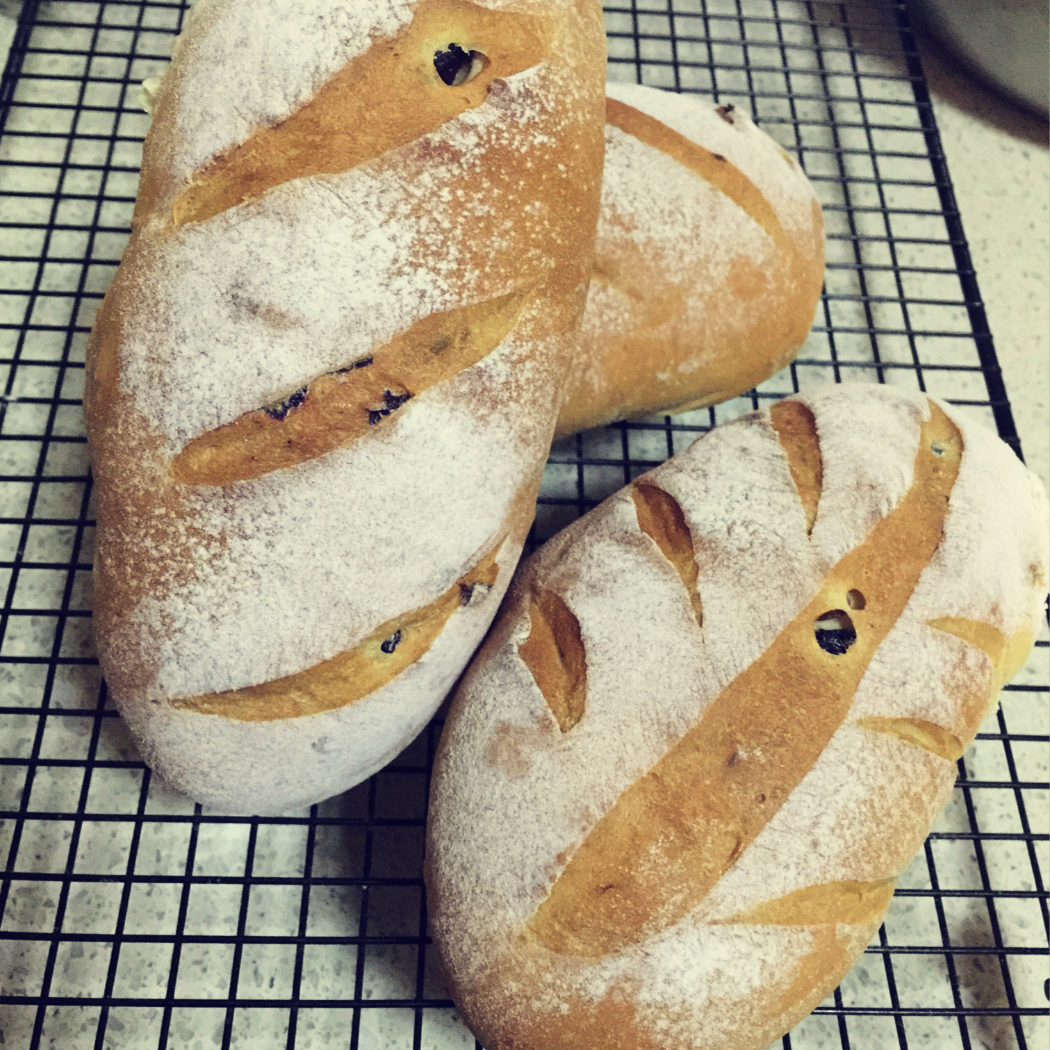 一次发酵酒酿干果软欧包