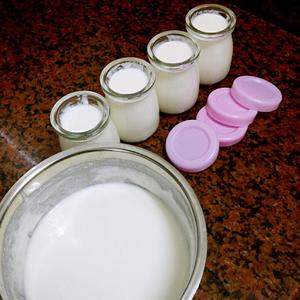 酸奶机制作酸奶的做法 步骤4