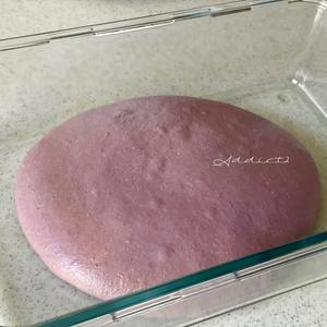 全麦紫薯mini欧包丨鲁邦种·附制作时间的做法 步骤11