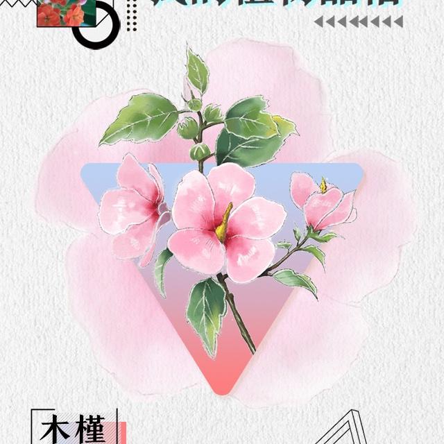 小猪睡M