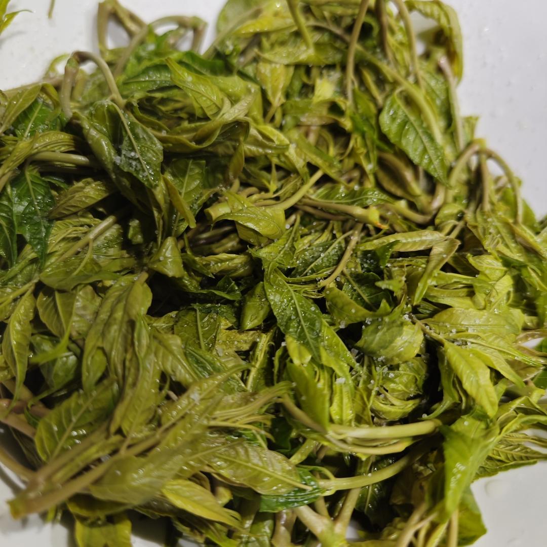 盐腌香椿