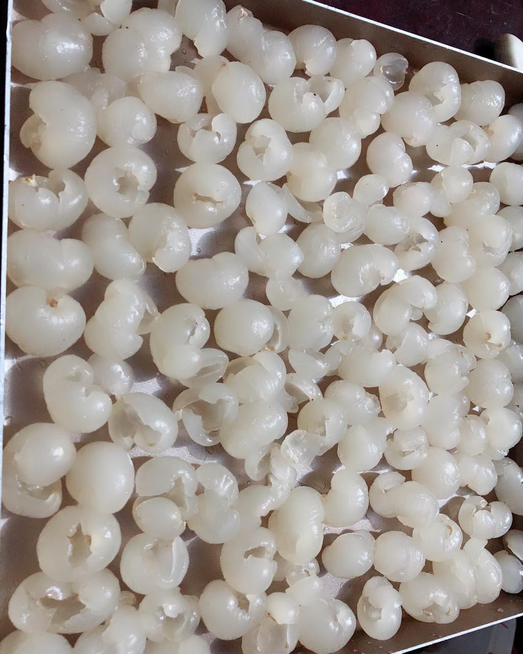 烤龙眼，桂圆干