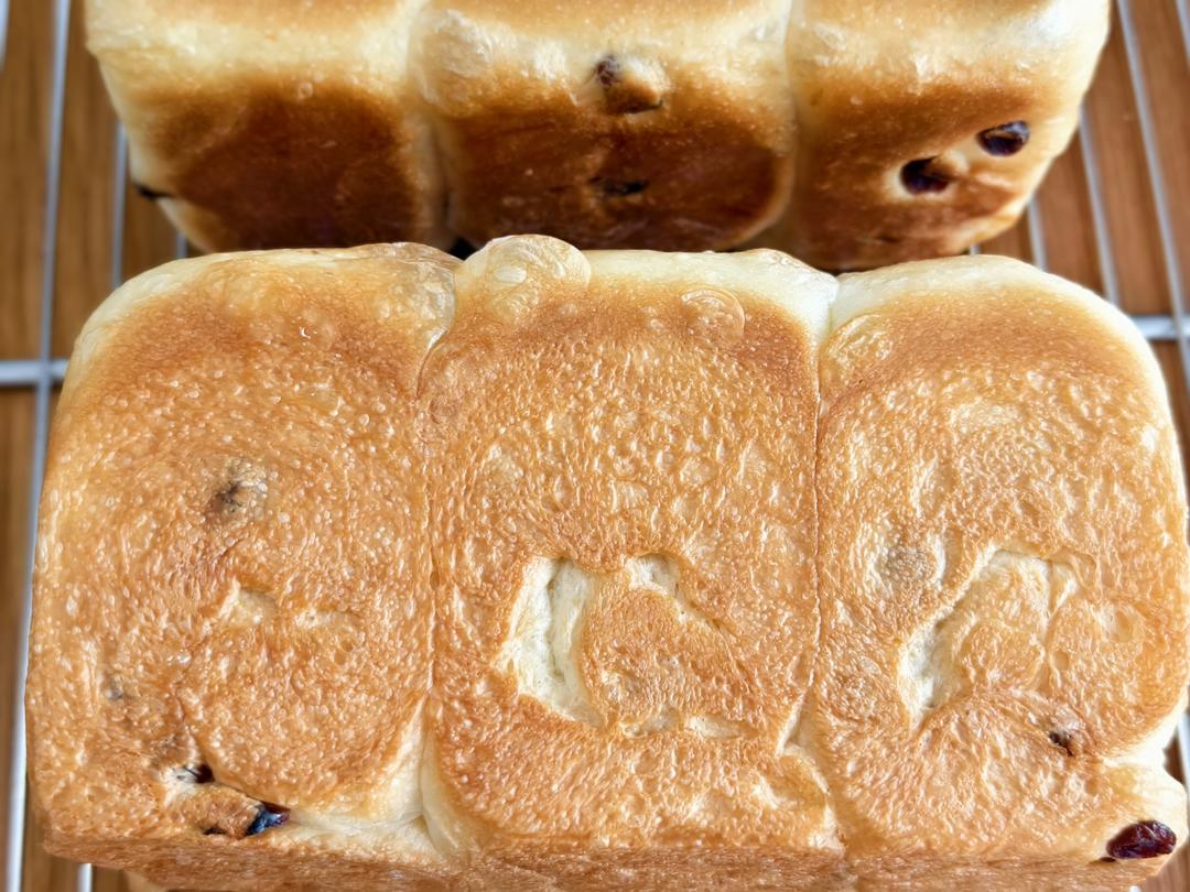 我最近每天做一个的葡萄干吐司，真的超松软好吃！