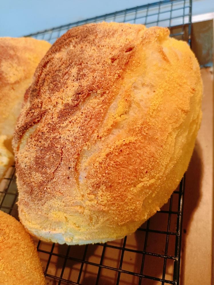 鲁邦种首次喂养成功记录