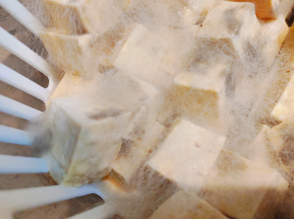 江西豆腐乳的做法 步骤3