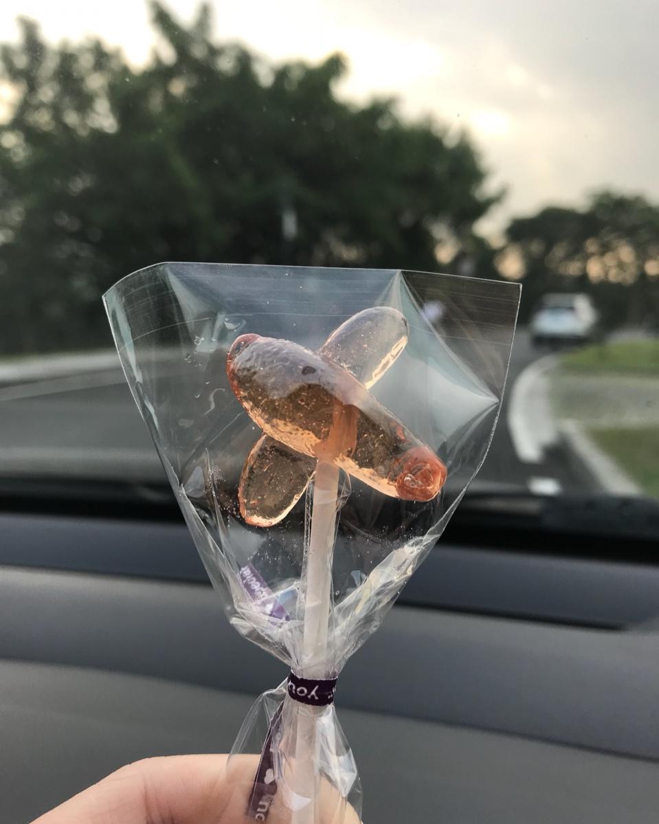 霍霍hh做的橙汁百香果棒棒糖