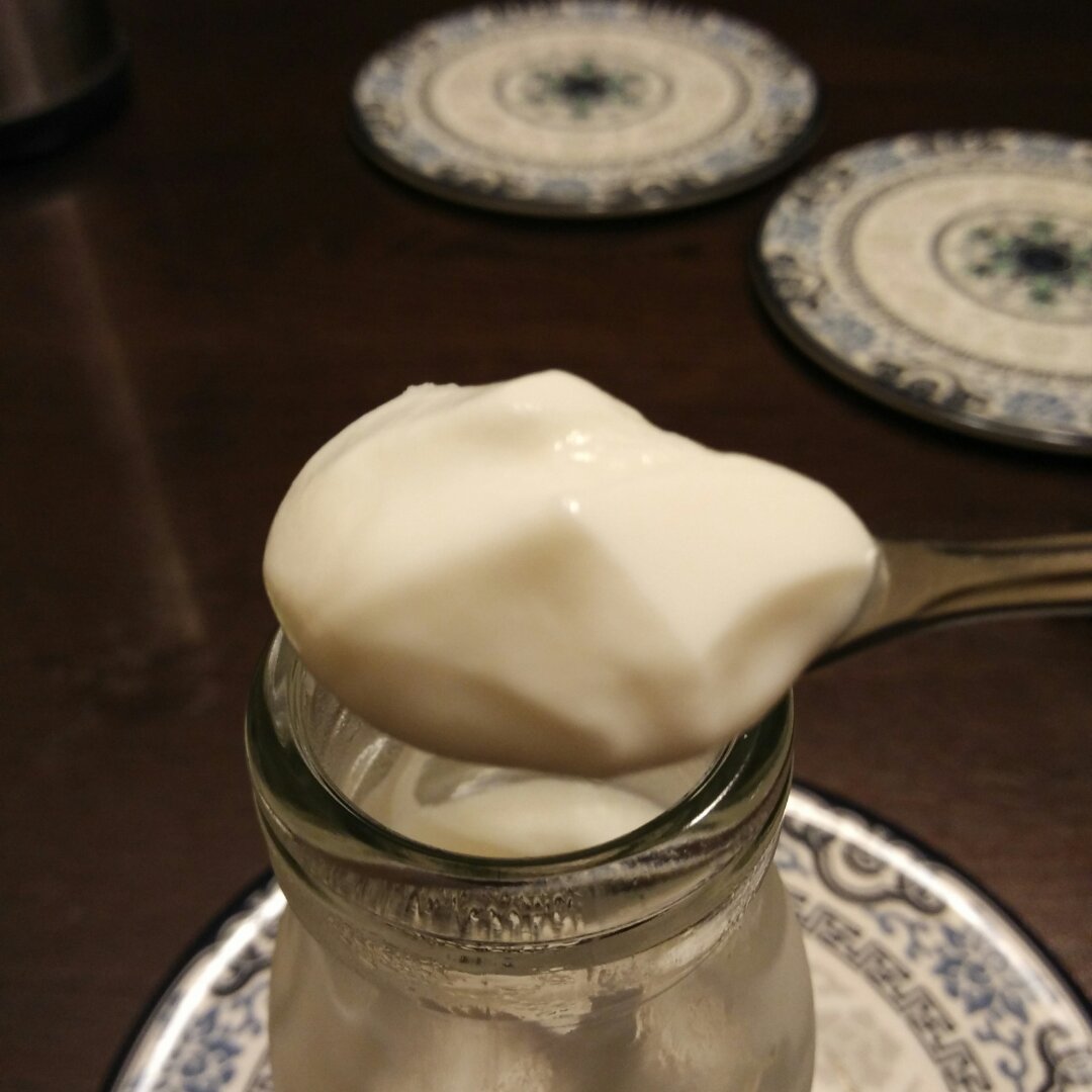 烤箱自制酸奶  Homemade Greek Yoghurt