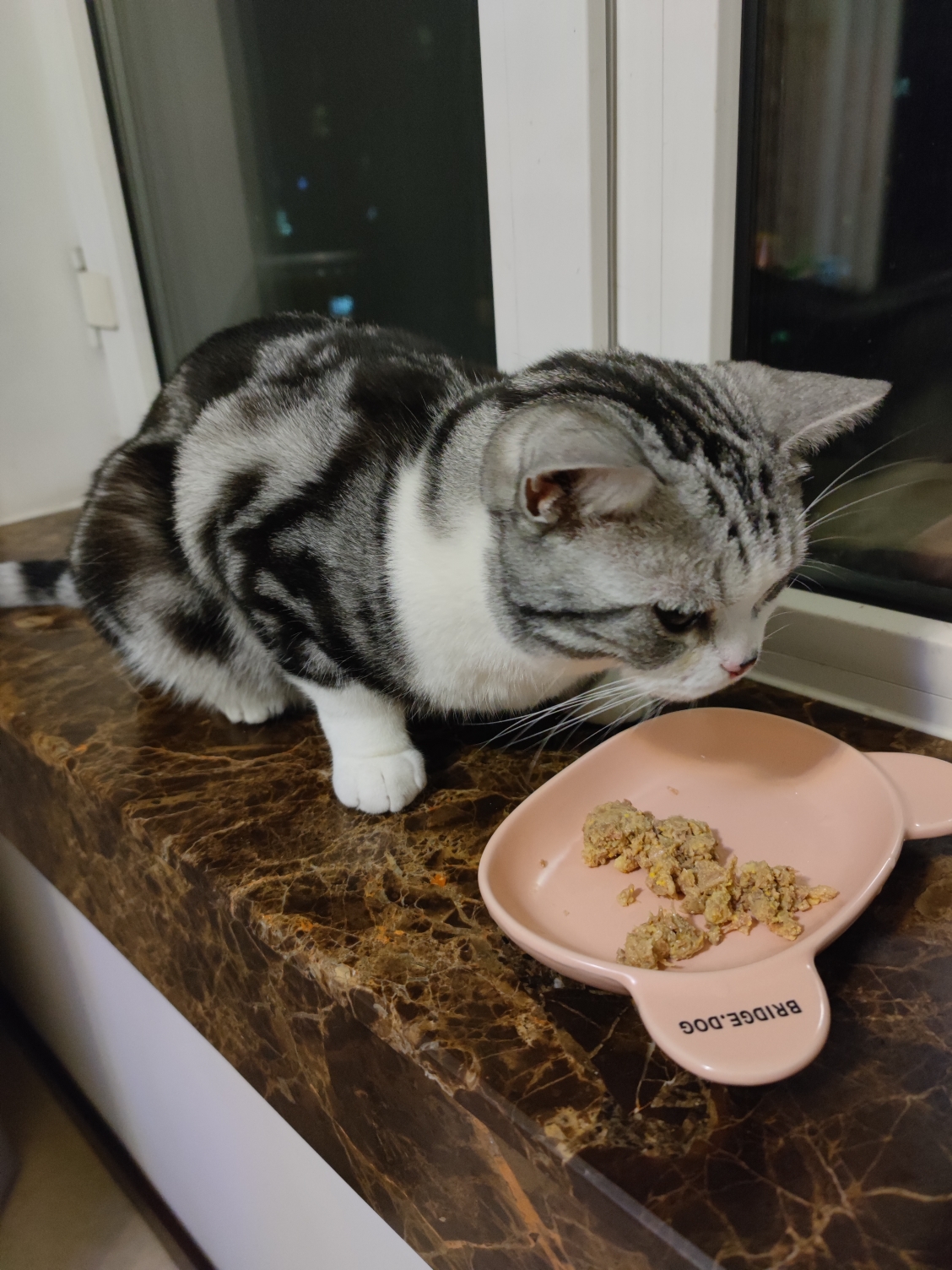 科学养猫 熟自制 猫饭（保姆级教程）的做法 步骤5