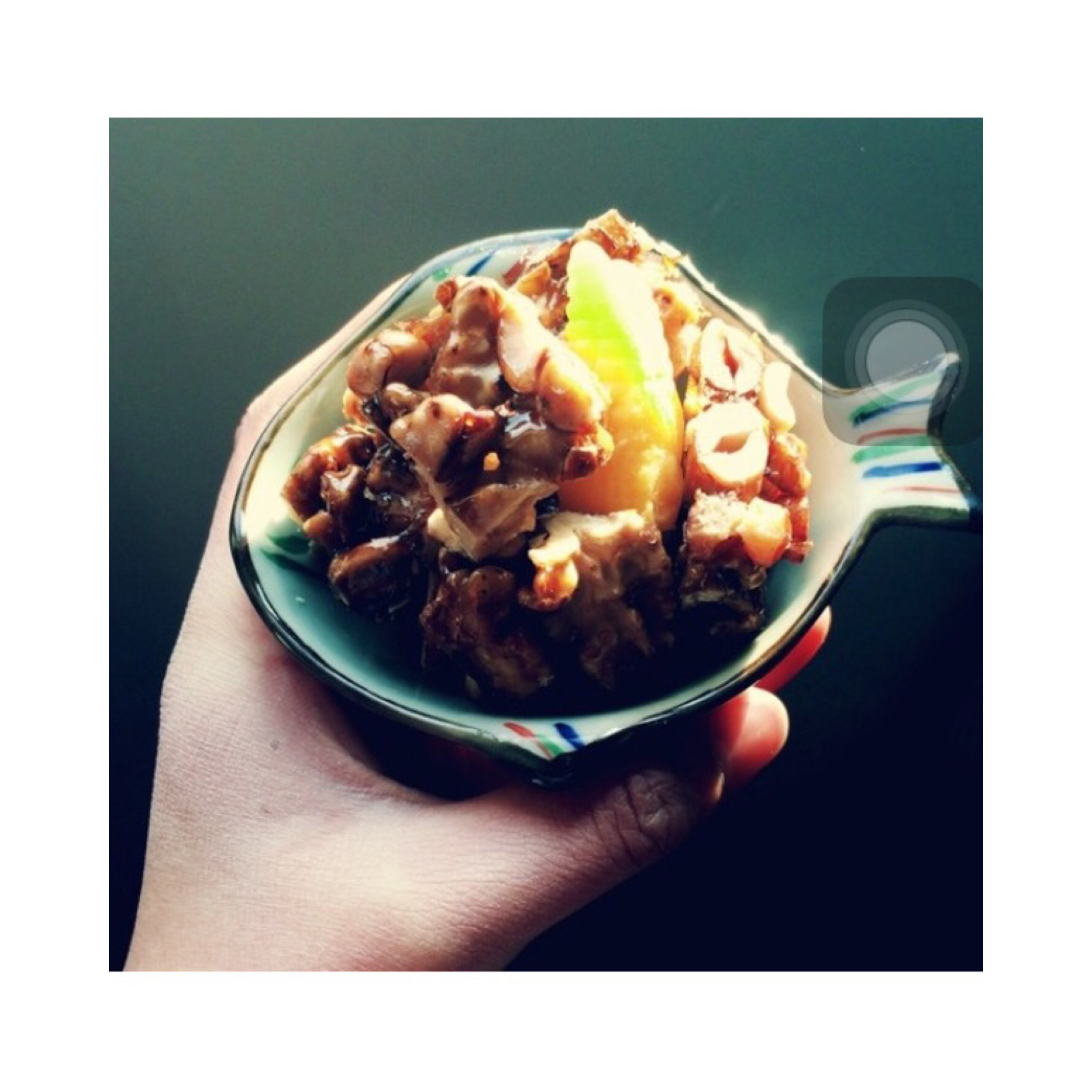日食录