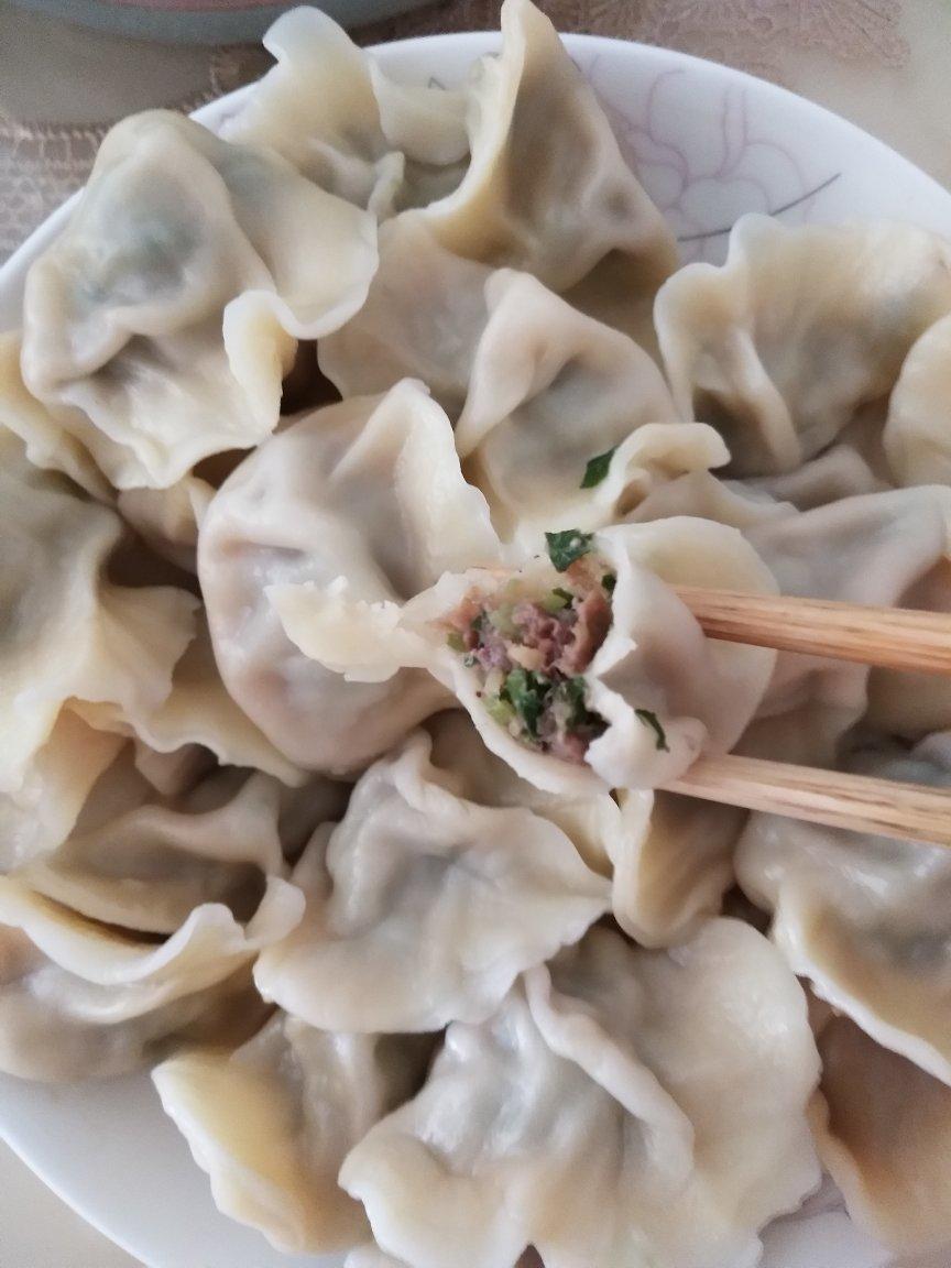 饺子 芹菜牛肉水饺 爱美食的胖丸子登登妈做的芹菜牛肉水饺 爱美食的
