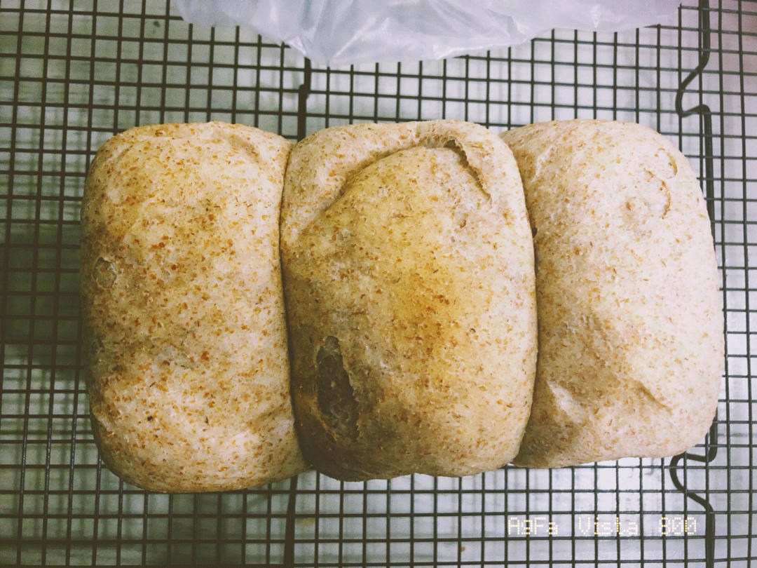 🍞低卡50%全麦吐司面包｜烫种法｜柔软拉丝｜减肥减脂必看