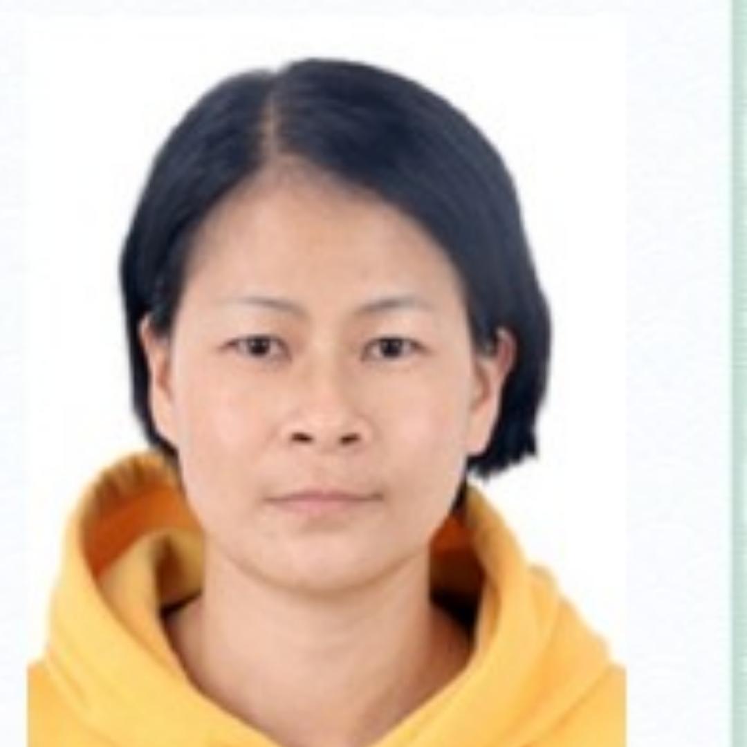 暖春燕归来