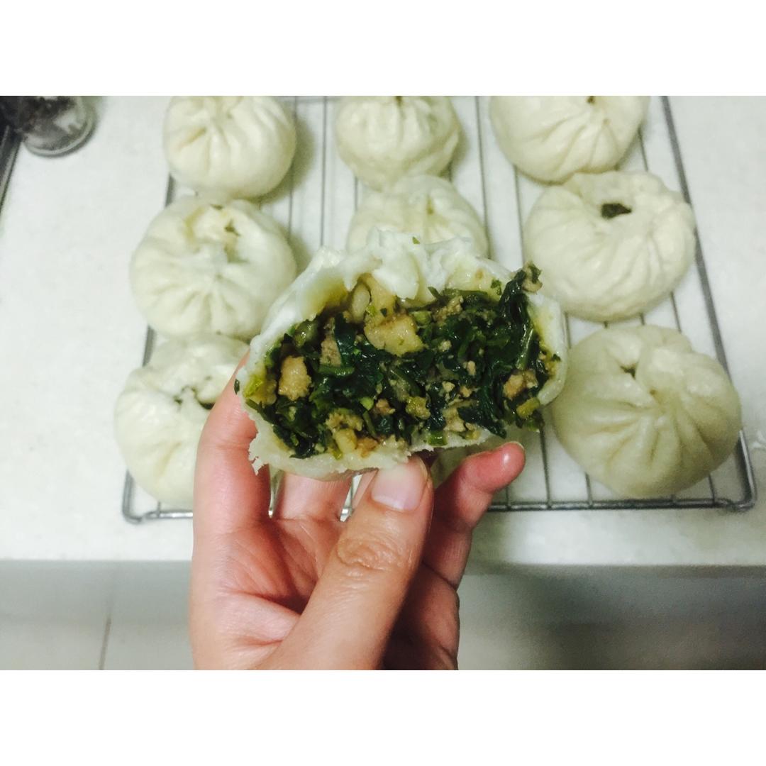 荠菜肉包子