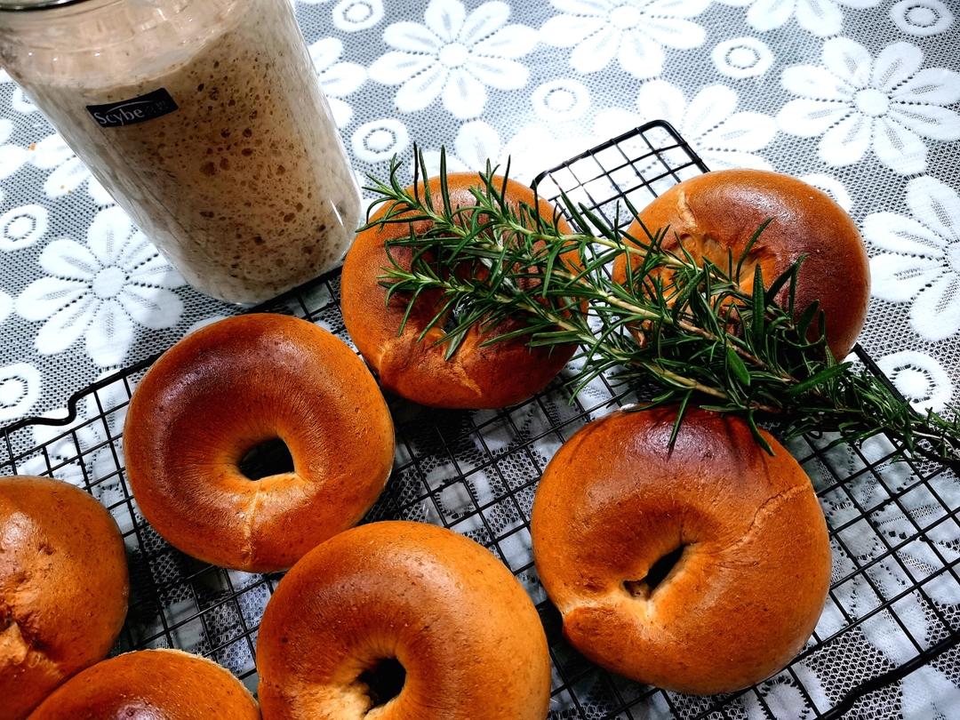 天然酵种全麦贝果