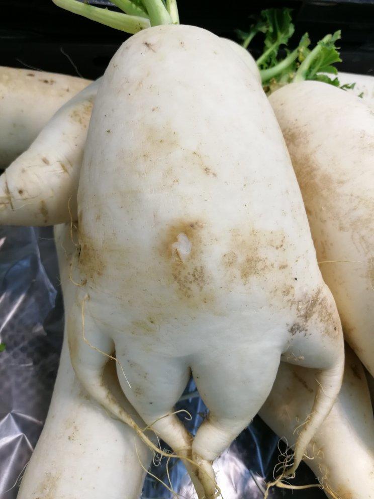 奇怪的果子和食材也好美