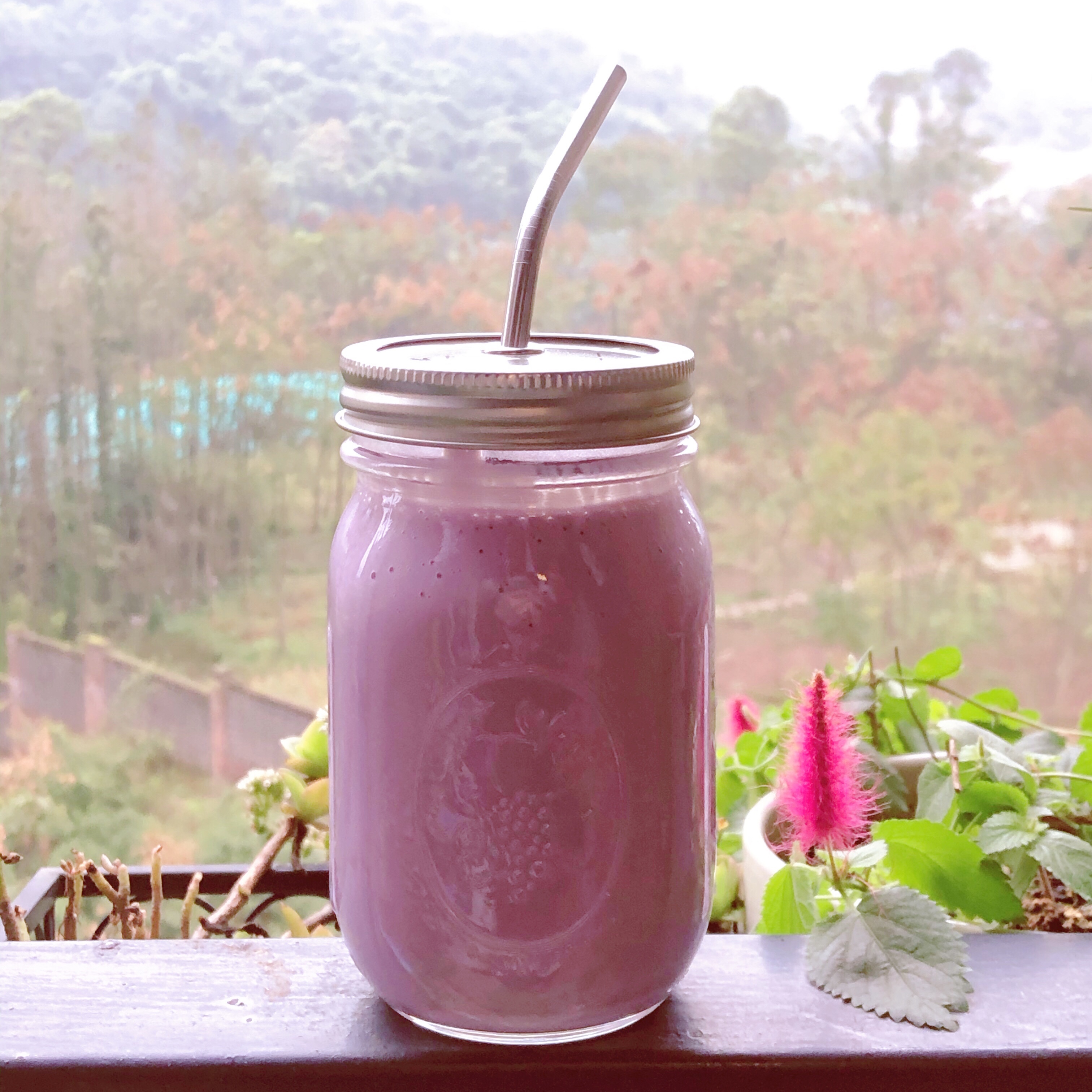 紫薯山药牛奶热饮（健身热饮）的做法