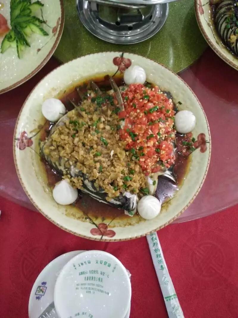 双色鱼头