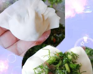 香味浓郁的茴香馅饺子的做法 步骤7