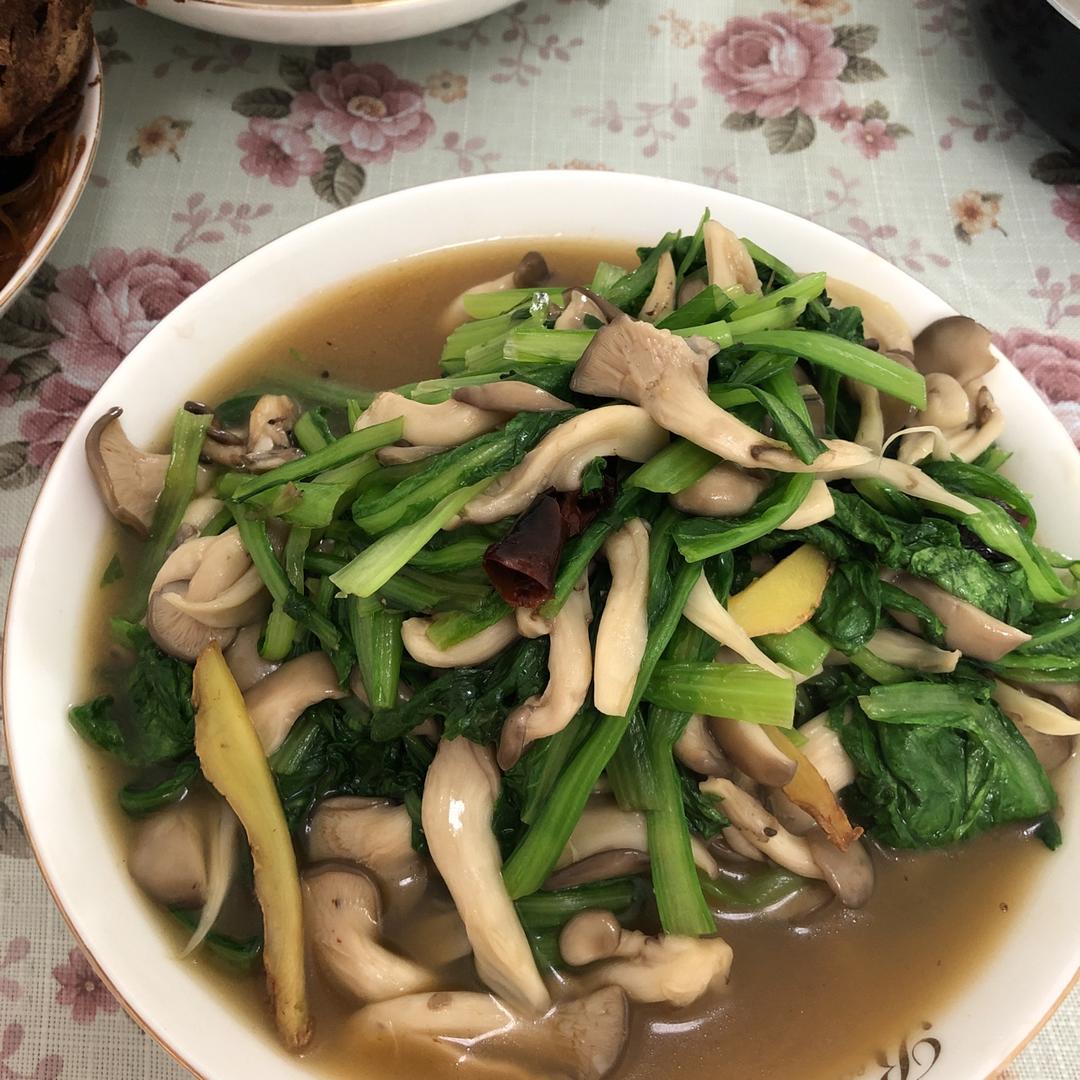平菇炒青菜