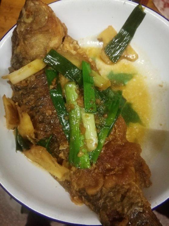 豆瓣酱焖鱼