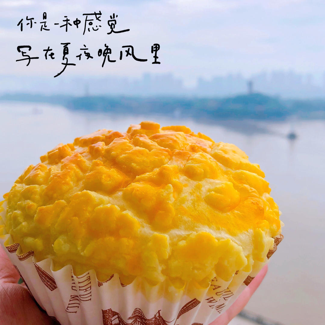 超软牛奶吐司（2个450克吐司模）