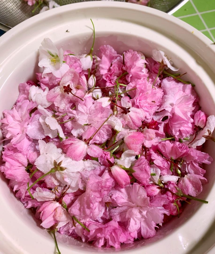 盐渍樱花