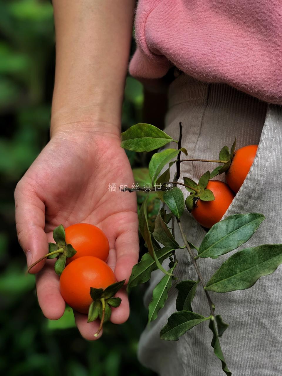 愿你走遍山川湖海。
