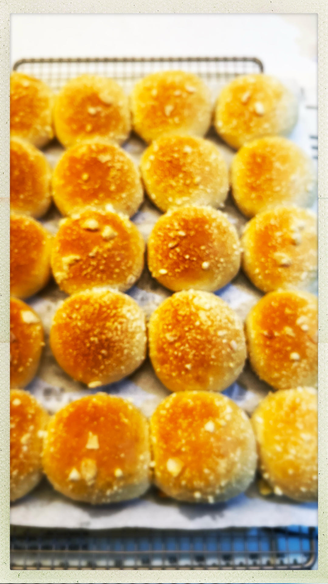 香酥橙味牛奶包