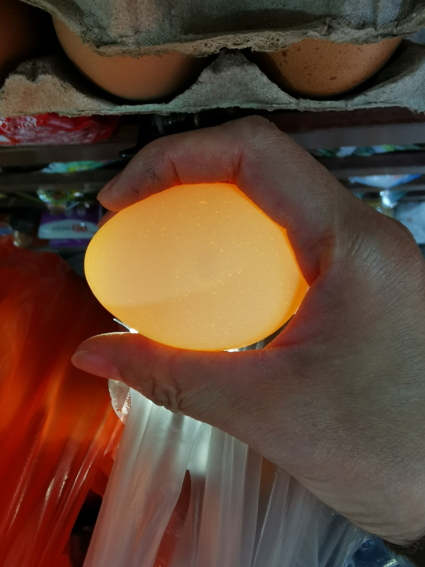 如何挑选新鲜鸡蛋的做法 步骤11