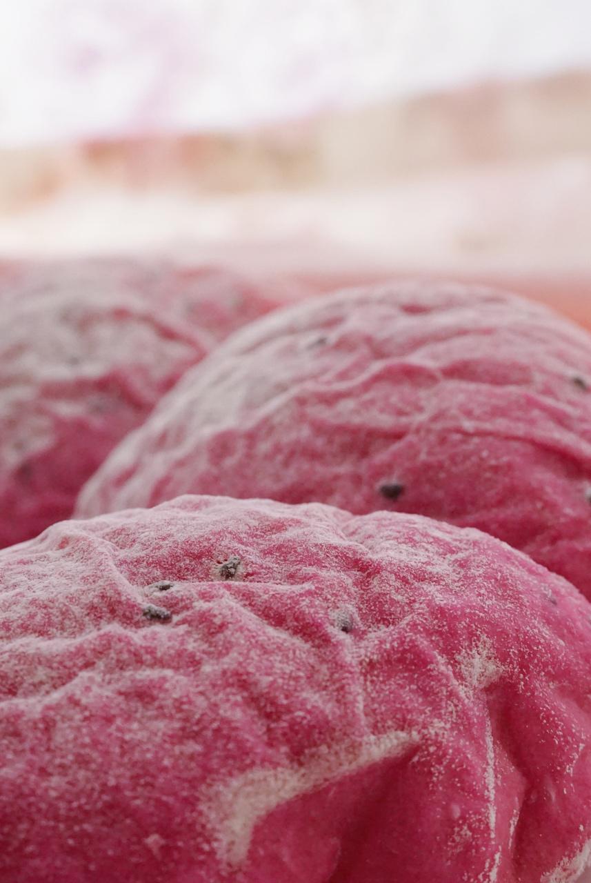 💕少女心biu biu biu 💕 肉松馅的火龙果面包