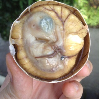 午餐•2016年9月17日