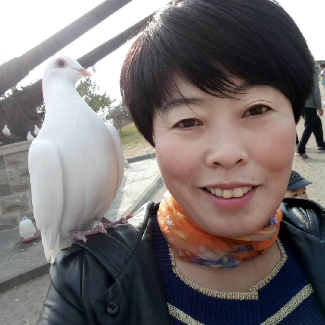 憧憬手机用户6983