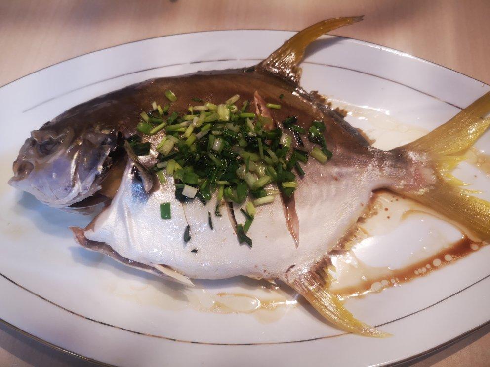 清蒸鲳鳊鱼的全部作品